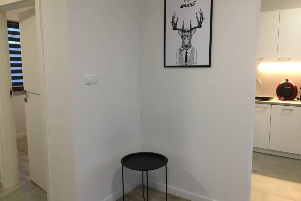Apartament Fibra Americano Rybnik  Eksteriør billede